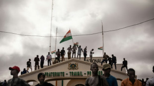 US 'pausing' some assistance programs to Niger government: Blinken