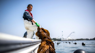 From soup stock to supercrop: Japan shows off its seaweed savvy