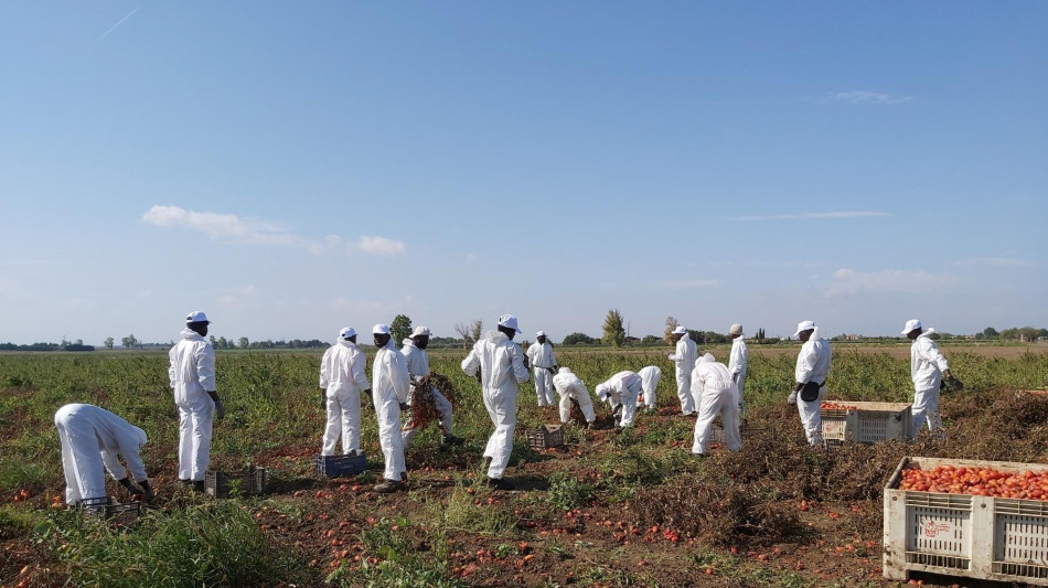 Nordio, in ddl difesa alimenti italiani reato agropirateria