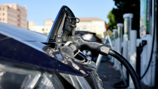 Calif&oacute;rnia promete intervir se Trump eliminar incentivos fiscais a ve&iacute;culos el&eacute;tricos