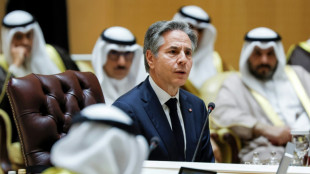 Blinken promotes Gulf Arab defence in sign to Israel and Iran