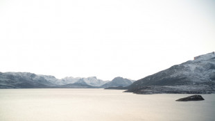 Arctic sea ice among lowest on record: AFP review of US data