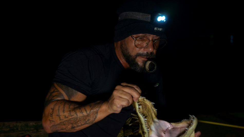 Les ca&iuml;mans de Rio englu&eacute;s dans la pollution