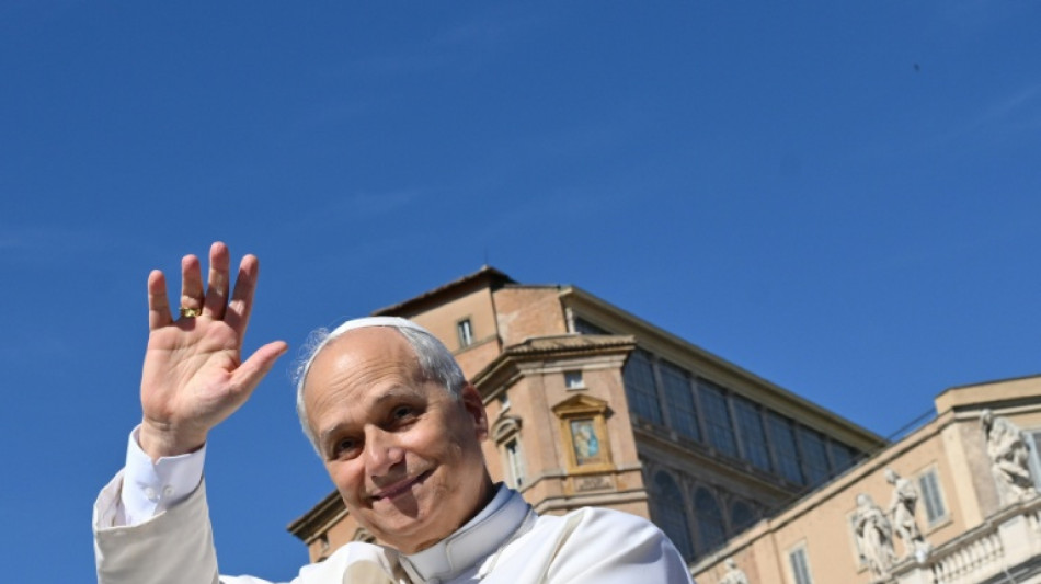 Papa Le&atilde;o XIV une for&ccedil;as a Schwarzenegger para enfrentar a mudan&ccedil;a clim&aacute;tica