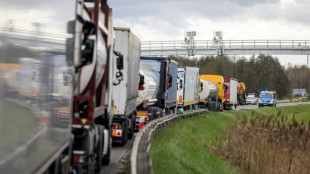 Polen will Kontrollen für ukrainische Lastwagen verstärken