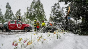 Heftige Schnee- und Regenf&auml;lle: Stra&szlig;en und Bahnstrecken in der Schweiz gesperrt