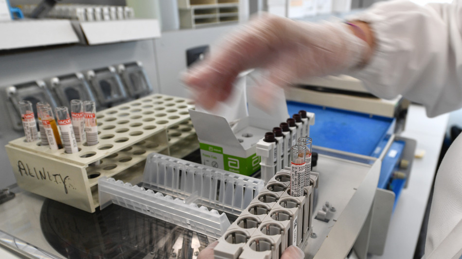 Scoperto uno dei codici della rigenerazione