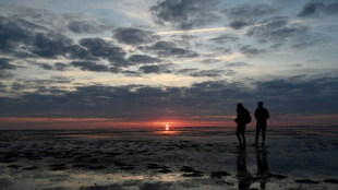 Bereits bis zum Bauch im Wasser: Seenotkreuzer rettet Jugendliche aus Wattenmeer