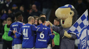 Schalke siegt im Kellerduell gegen Osnabrück
