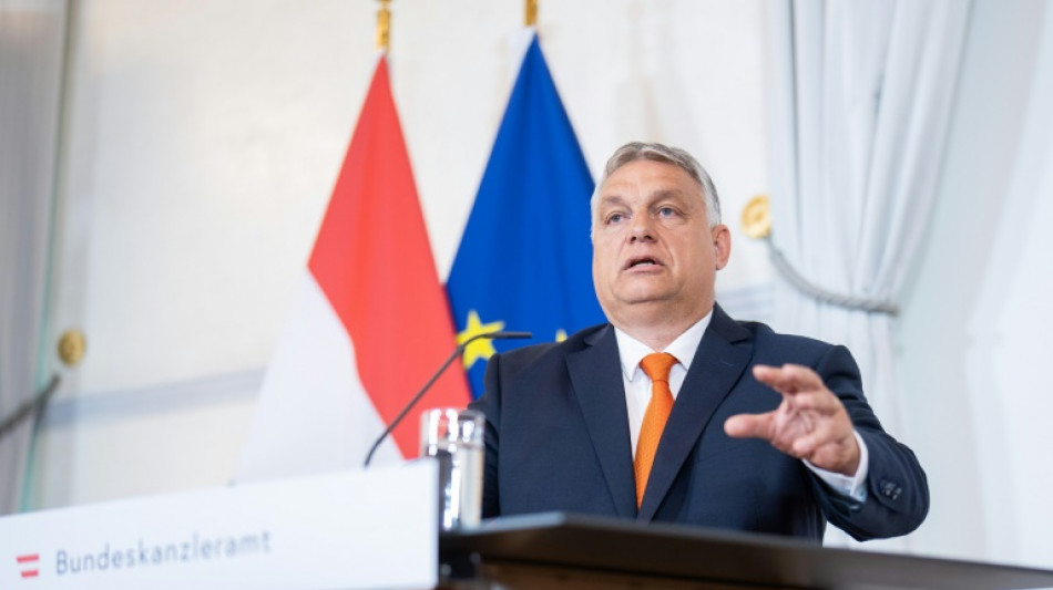 "M&eacute;lange des races": Viktor Orban d&eacute;fend "un point de vue culturel"
