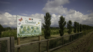 Legami, il 5% degli utili investito in sostenibilit&agrave;