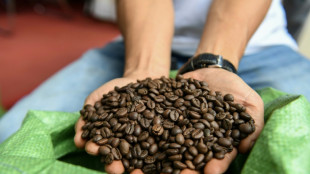 Le robusta du Vietnam, le caf&eacute; qui pourrait concurrencer l'arabica &agrave; l'heure du changement climatique