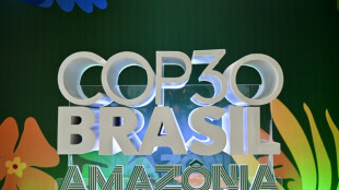 A um m&ecirc;s da COP30, Lula ostenta balan&ccedil;o positivo em mat&eacute;ria clim&aacute;tica