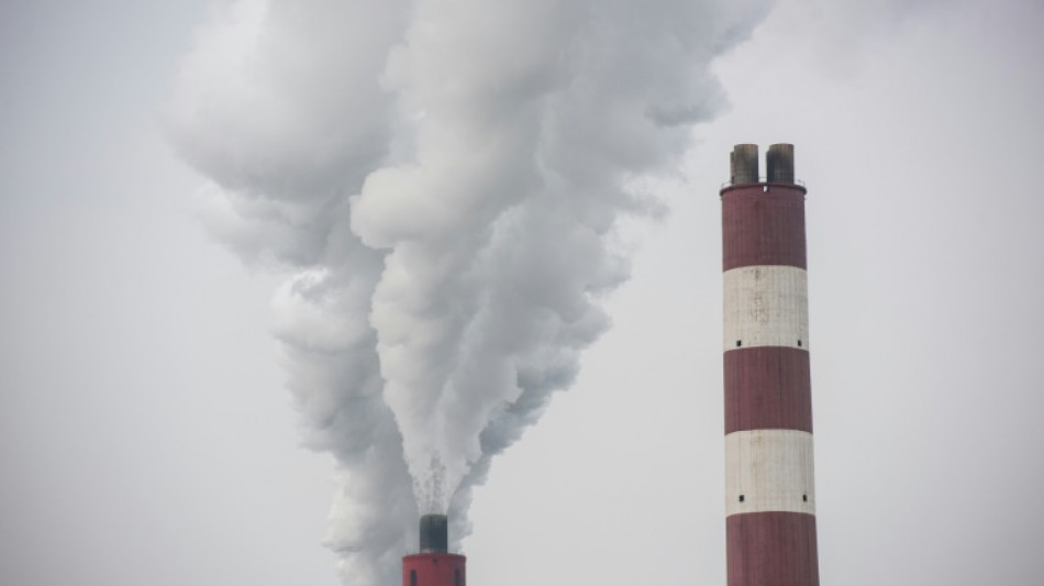 Veto de China al carb&oacute;n permite cerrar 15 plantas, pero otras 18 siguen adelante (estudio)