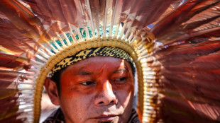 Amazonian chief at UN to combat traditional knowledge piracy
