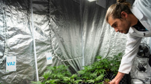 Bundesrat fordert Nachbesserungen beim Gesetzesentwurf zur Cannabislegalisierung