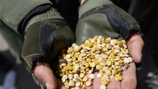 Ataque a&eacute;reo na S&iacute;ria mata importante traficante de drogas