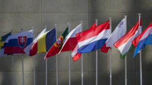 Zone euro: l'activit&eacute; &eacute;conomique en plus forte croissance en juillet (PMI Flash)