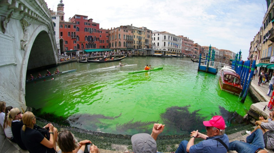 Ursache für grün verfärbten Canal Grande in Venedig ist geklärt