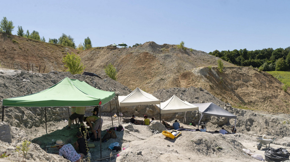 Dalla Mongolia un nuovo dinosauro con gli artigli da bradipo