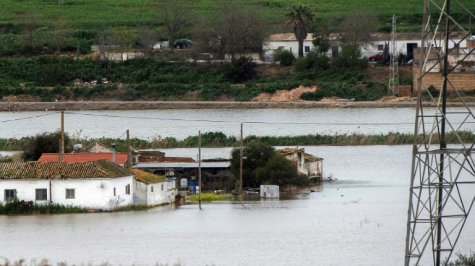 Tres muertos en Espa&ntilde;a al derrumbarse una nave agr&iacute;cola por el mal tiempo