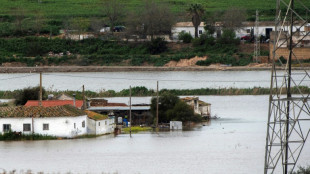 Tres muertos en Espa&ntilde;a al derrumbarse una nave agr&iacute;cola por el mal tiempo