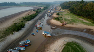 Le changement climatique derri&egrave;re la s&eacute;cheresse d&eacute;vastatrice de l'Amazonie en 2023, selon une &eacute;tude