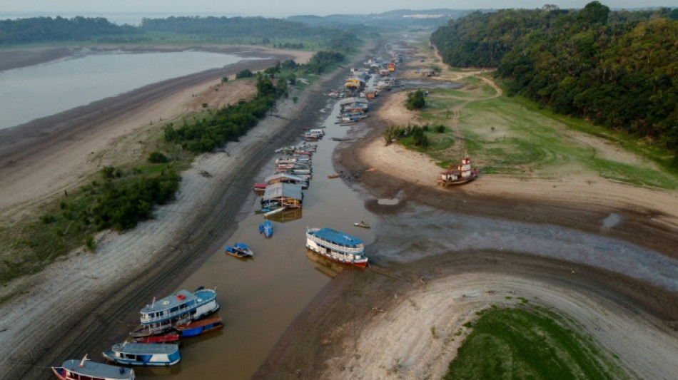 Studie: Klimawandel trug entscheidend zu Dürre im brasilianischen Amazonas-Gebiet bei