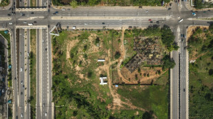 Las granjas urbanas de la capital nigeriana, amenazadas por el desarrollo inmobiliario