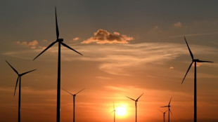 Solar- und Windbranche sucht vermehrt Arbeitskr&auml;fte mit spezifischen Kenntnissen