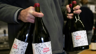 French wine industry warns of 'brutal' impact from US tariffs 