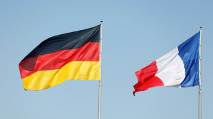 Union: Scholz muss Schließung von Goethe-Instituten in Frankreich verhindern
