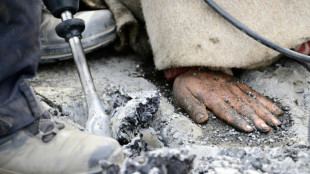 Des militants pour le climat bloquent la circulation &agrave; Berlin