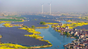 La Chine annonce que sa capacit&eacute; en &eacute;nergie &eacute;olienne et solaire d&eacute;passe pour la premi&egrave;re fois le thermique
