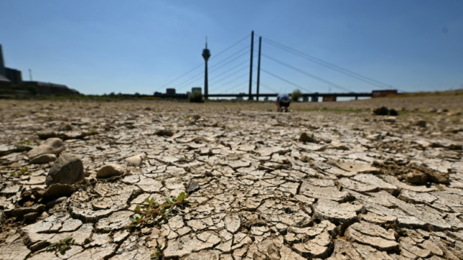 Germany's dry rivers spark battle on engineering vs restoration
