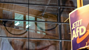 Politikwissenschaftler: AfD hat Landnahme im Osten bis in St&auml;dte ausgebreitet