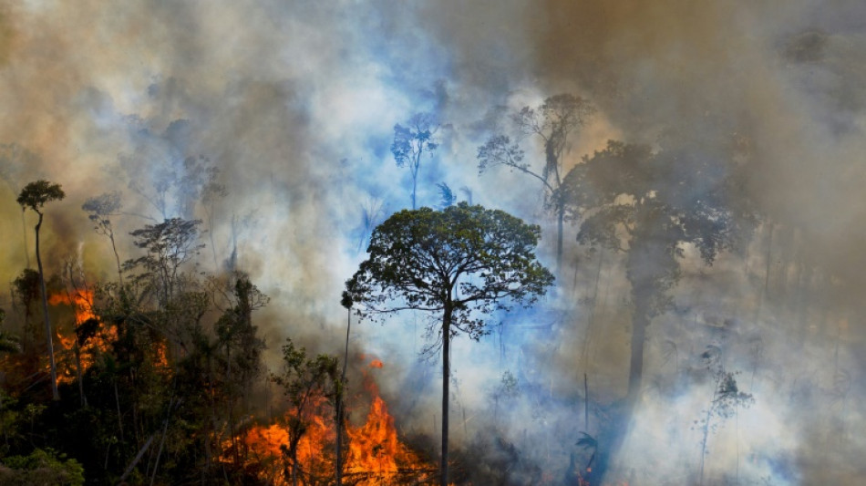 A la COP27, la Colombie et le Venezuela appellent &agrave; sauver l'Amazonie
