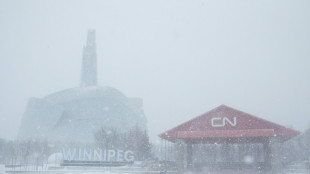 Une tempête hivernale d'une "rare" intensité frappe le centre du Canada