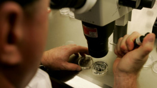 Universidade de Alabama suspende fertilização in vitro após sentença judicial