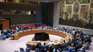 EUA deve vetar nova resolu&ccedil;&atilde;o sobre Gaza no Conselho de Seguran&ccedil;a