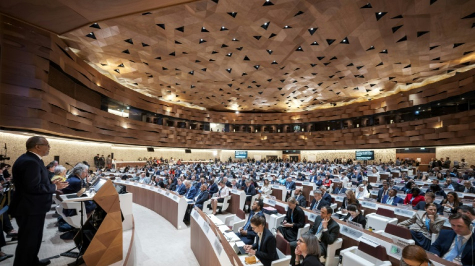 WHO adopts landmark pandemic agreement