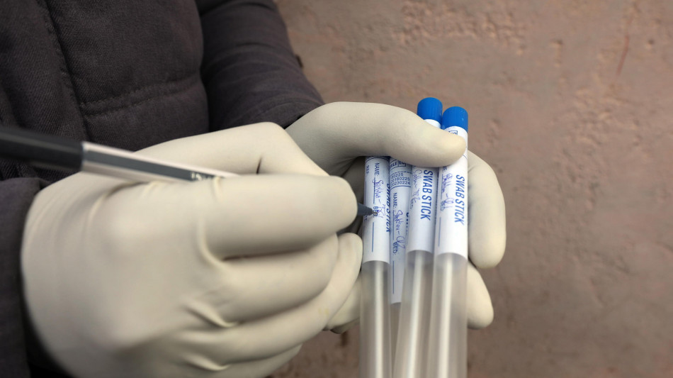 Il virus dell'aviaria &egrave; arrivato anche in Antartide