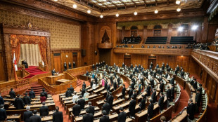 El parlamento japon&eacute;s expulsa a un legislador YouTuber que nunca fue a trabajar