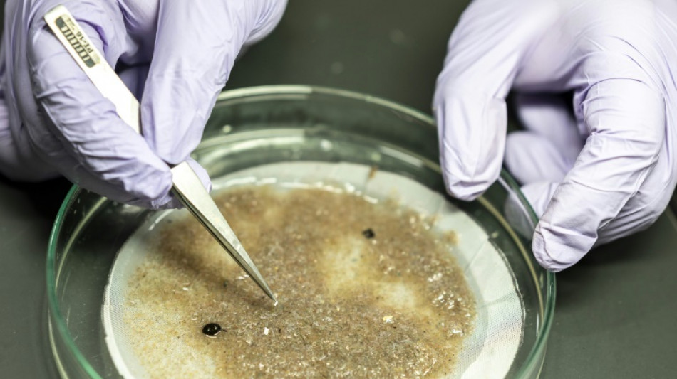 EU verbietet Mikroplastik in Kosmetik und Kunstrasengranulat