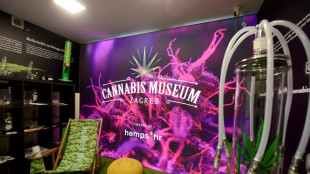 "Bienvenue au paradis": le premier mus&eacute;e croate du cannabis
