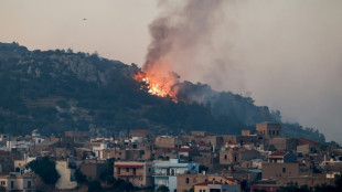 M&aacute;s de 4.000 hect&aacute;reas devastadas por las llamas en la isla griega de Qu&iacute;os