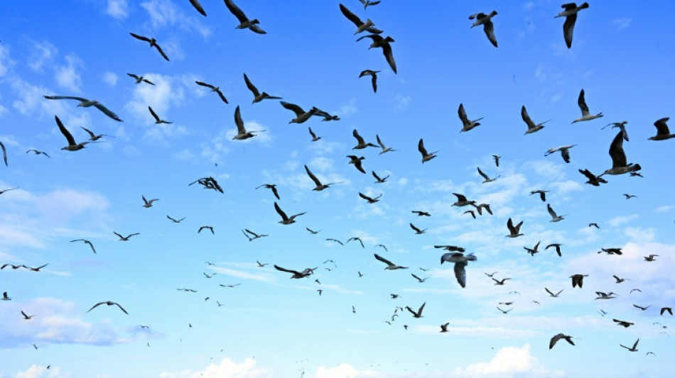 Les pêcheurs français réunis à Boulogne-sur-Mer pour défendre leurs accès à la mer