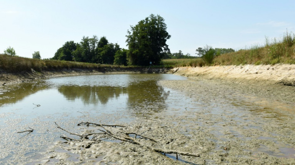 Quotas, tarifs progressifs de l'eau, irrigation raisonn&eacute;e, des pistes pour pr&eacute;server l'eau