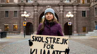 Greta Thunberg beendet ihre Schulzeit - und damit auch die Schulstreiks 