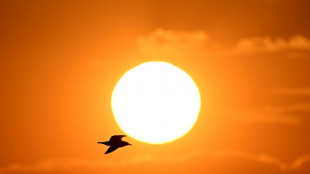 M&eacute;t&eacute;o-France: un &eacute;t&eacute; "plus chaud que la normale" est le sc&eacute;nario le "plus probable"